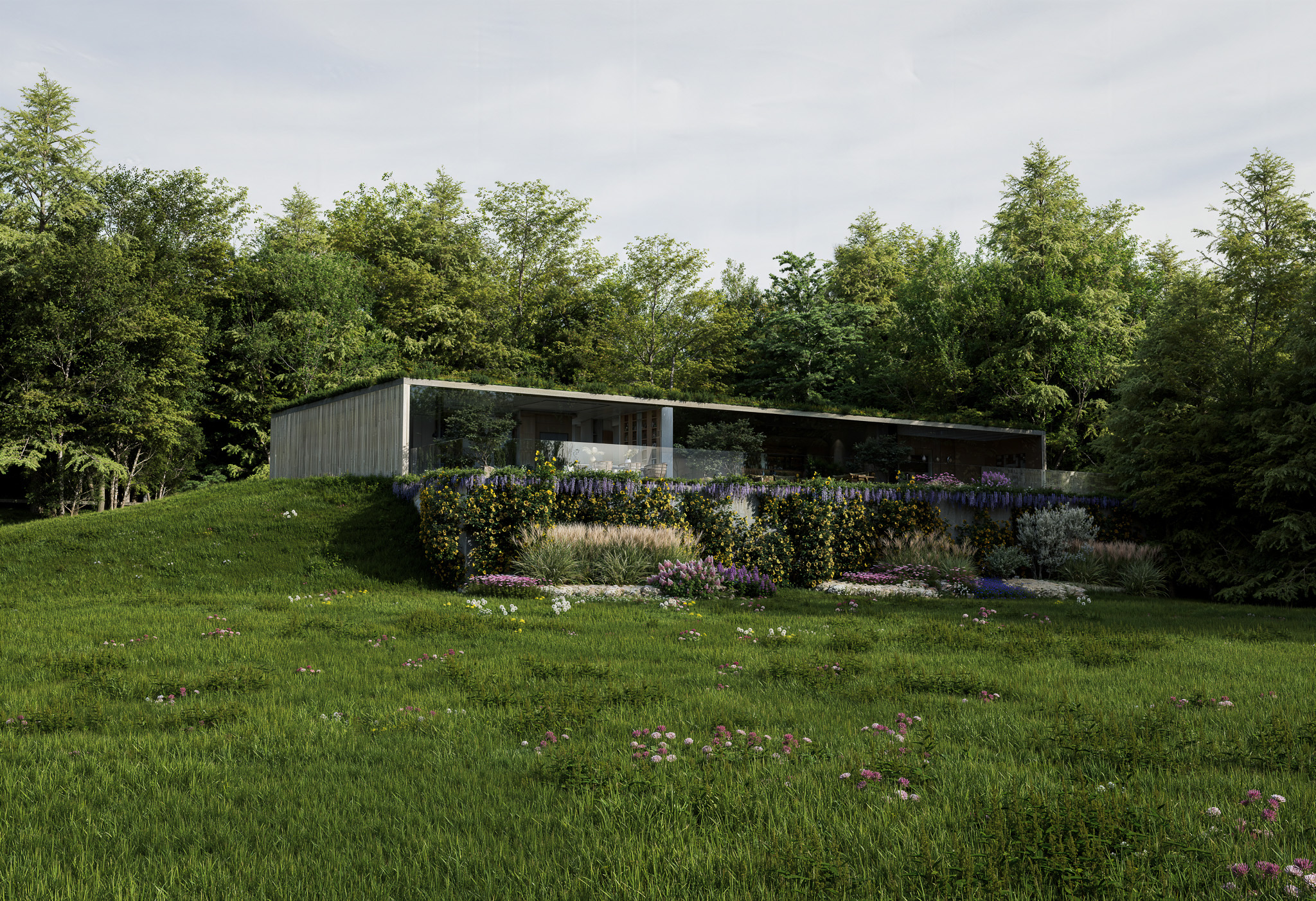 landscape render of The Clearing, a secluded house wrapped in a meadow garden